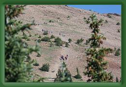 Philmont--Crew-3 (82) * 2000 x 1333 * (1.16MB)